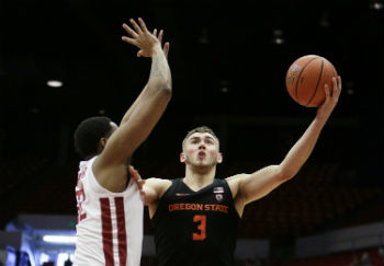 Beaver Standout